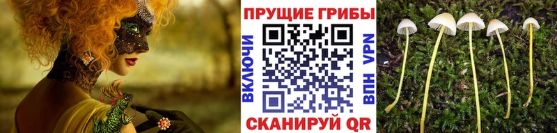Галлюциногенные грибы мухоморы  дарк нет клад  Бологое 
